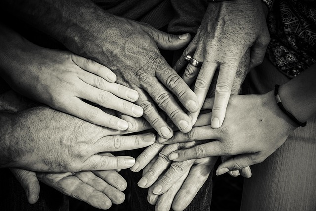 Meadowsweet counseling therapy for adults and caregivers