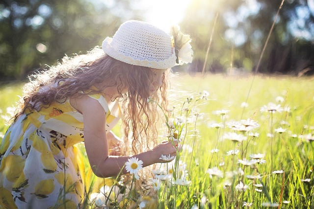 Meadowsweet counseling play therapy for children