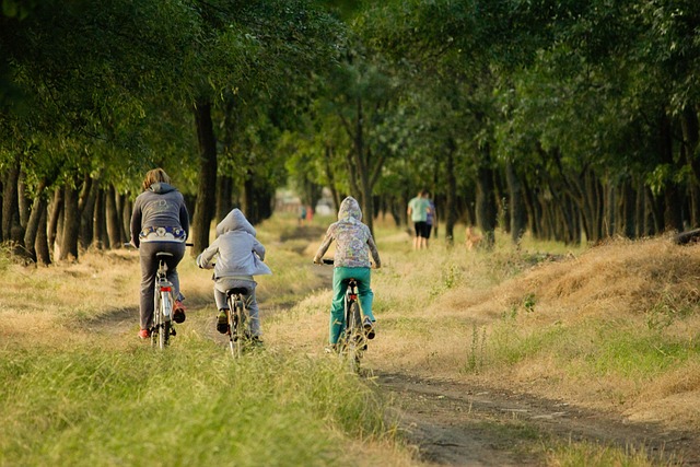 Meadowsweet counseling therapy for teenagers and young adults